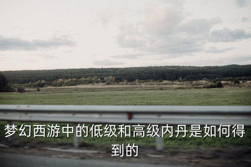 梦幻西游中的低级和高级内丹是如何得到的
