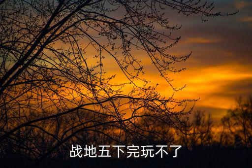 战地五下完玩不了