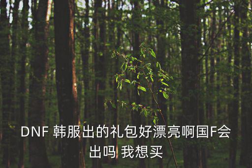 DNF 韩服出的礼包好漂亮啊国F会出吗 我想买
