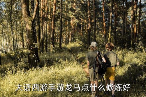 大话西游手游龙马点什么修炼好