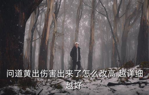问道黄出伤害出来了怎么改高 越详细越好