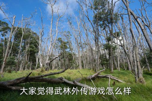 大家觉得武林外传游戏怎么样