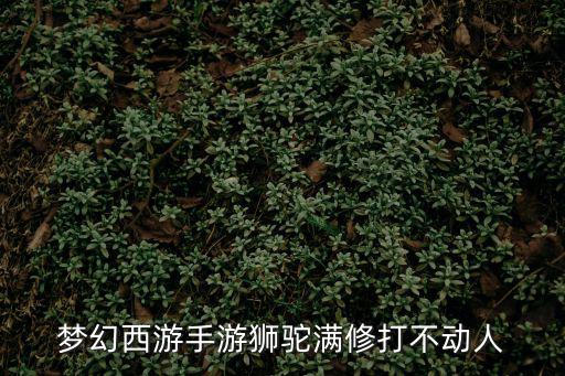 梦幻西游手游狮驼满修打不动人