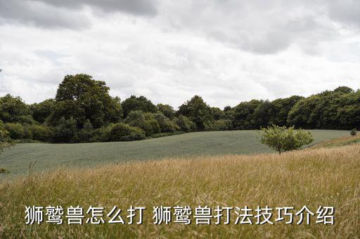 狮鹫兽怎么打 狮鹫兽打法技巧介绍