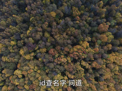 id查名字 问道