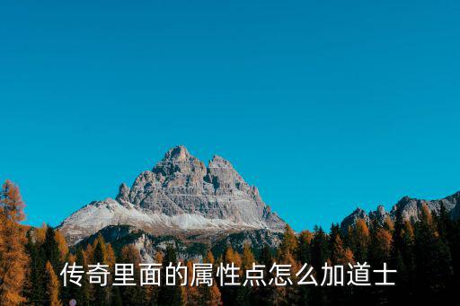 传奇里面的属性点怎么加道士