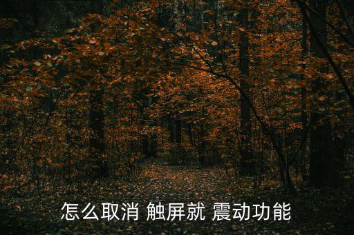 灌篮高手手游怎么关闭开始振动，新手有个问题请教下怎么把触屏的震动去掉