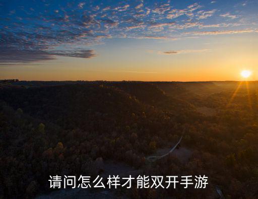 请问怎么样才能双开手游
