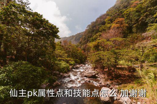 仙主pk属性点和技能点怎么 加谢谢