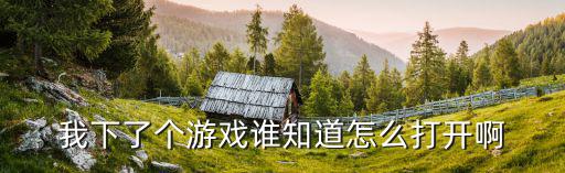 我下了个游戏谁知道怎么打开啊