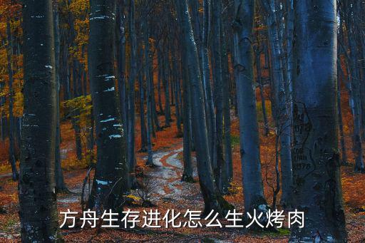 方舟生存进化怎么生火烤肉