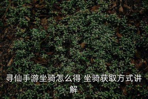 寻仙手游坐骑怎么得 坐骑获取方式讲解