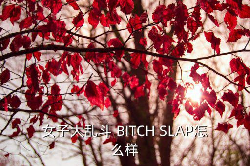 女子大乱斗 BITCH SLAP怎么样