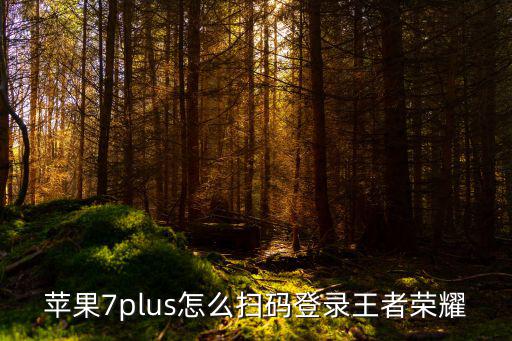 苹果7plus怎么扫码登录王者荣耀