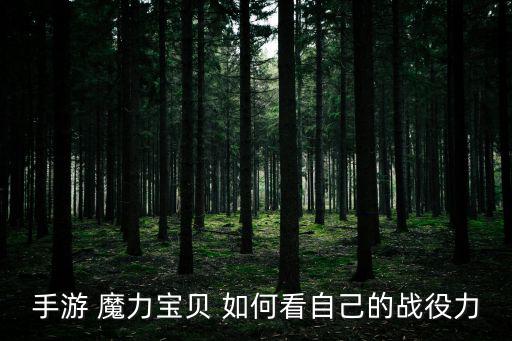 手游 魔力宝贝 如何看自己的战役力