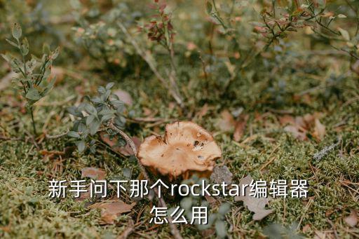 英雄联盟手游编辑器怎么用，游戏修改器怎么用啊