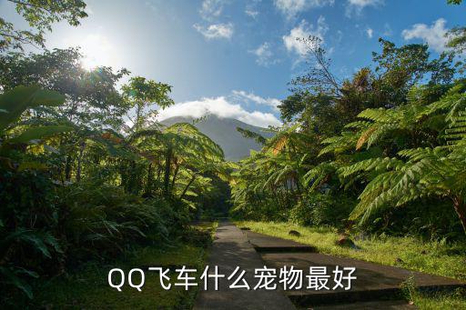 手游飞车怎么挑宠物，飞车什么宠物好
