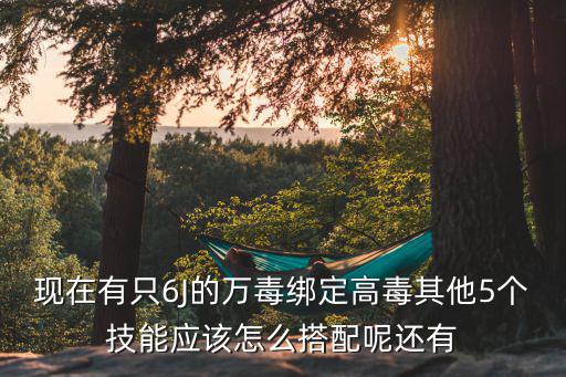 现在有只6J的万毒绑定高毒其他5个技能应该怎么搭配呢还有