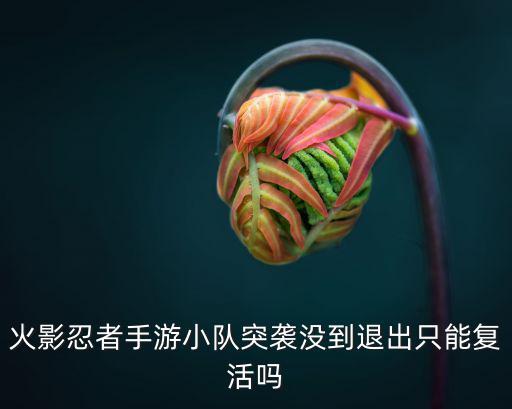 火影忍者手游小队突袭没到退出只能复活吗
