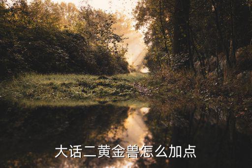 手游大话2小黄金兽怎么加点，大话西游手游时间服小黄金兽怎么加点