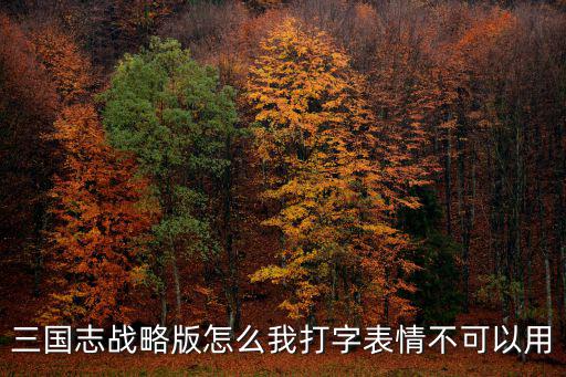 三国志战略版怎么我打字表情不可以用