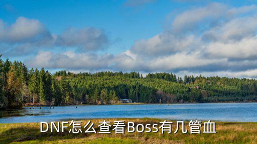 DNF怎么查看Boss有几管血