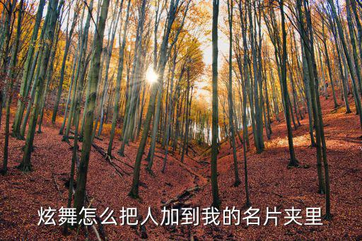 炫舞手游孩子怎么放名片，炫舞怎么把人加到我的名片夹里