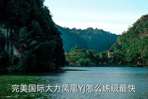 倩女幽魂手游凤凰怎么升级快，倩女幽魂新手期如何快速升级