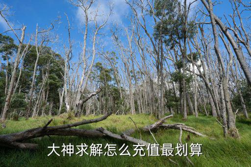 pubg手游充钱怎么划算，关于如何去充值最划算