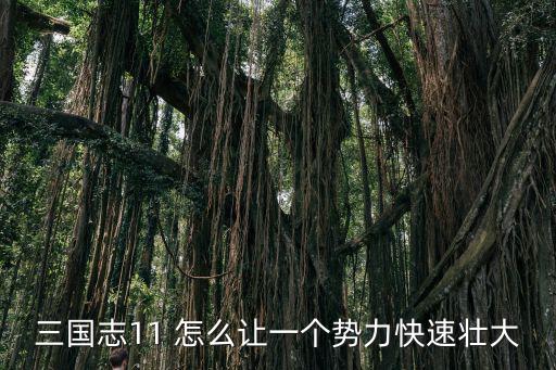 三国志11 怎么让一个势力快速壮大