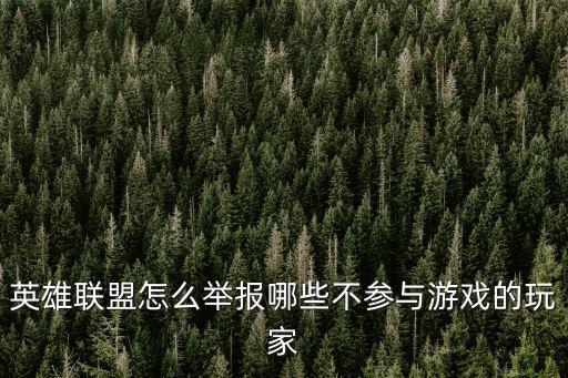 英雄联盟怎么举报哪些不参与游戏的玩家