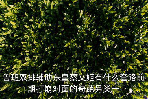 战国志手游蔡文姬怎么玩，鲁班双排辅助东皇蔡文姬有什么套路前期打崩对面的奇葩另类一