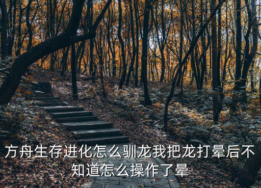 方舟生存进化怎么驯龙我把龙打晕后不知道怎么操作了晕