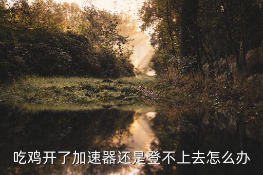 吃鸡开了加速器还是登不上去怎么办