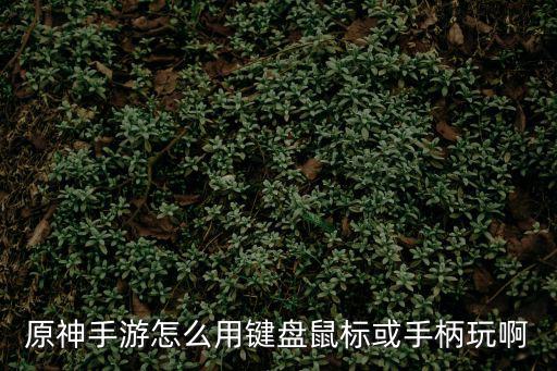 原神手游怎么用键盘鼠标或手柄玩啊