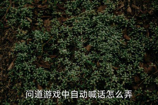 问道手游连续喊话怎么弄，问道游戏中自动喊话怎么弄