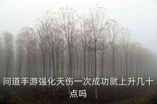 问道手游强化天伤一次成功就上升几十点吗