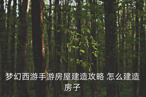 梦幻西游手游房屋建造攻略 怎么建造房子