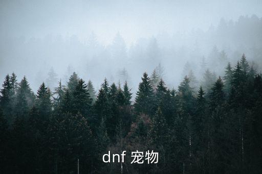 dnf手游阿拉德宠物怎么样，地下城与勇士宠物