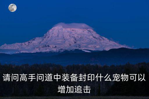 请问高手问道中装备封印什么宠物可以增加追击