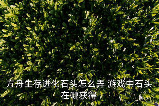 方舟手游怎么弄传说石镐，方舟生存进化石头怎么弄 游戏中石头在哪获得