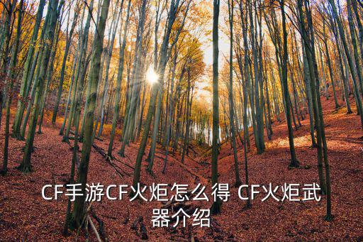 CF手游CF火炬怎么得 CF火炬武器介绍