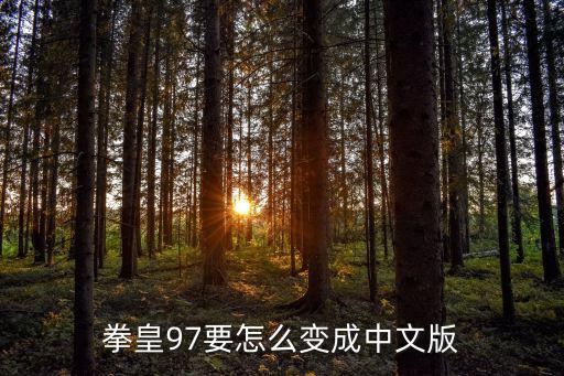 手游版拳皇97怎么调中文，拳皇97要怎么变成中文版