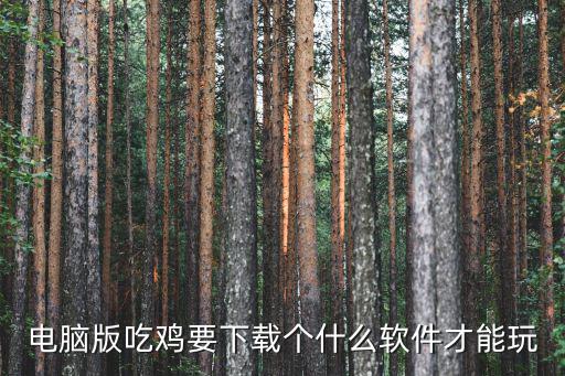 吃鸡中怎么下载手游游戏，电脑版吃鸡要下载个什么软件才能玩