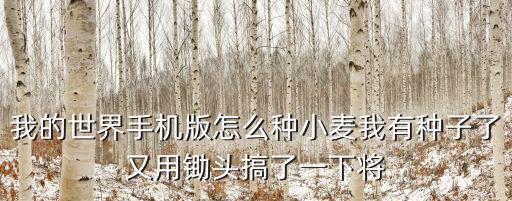 我的世界手机版怎么种小麦我有种子了又用锄头搞了一下将