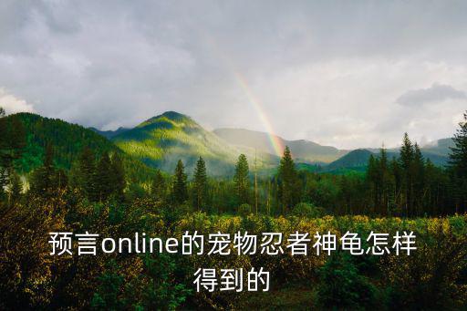 黑色沙漠手游宠物小神龟怎么获得，神宠怎么样才可以得到啊