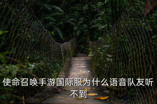 使命召唤手游国际服为什么语音队友听不到