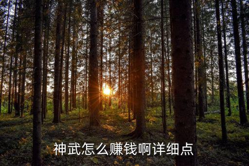 神武怎么赚钱啊详细点