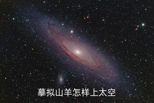 摹拟山羊怎样上太空