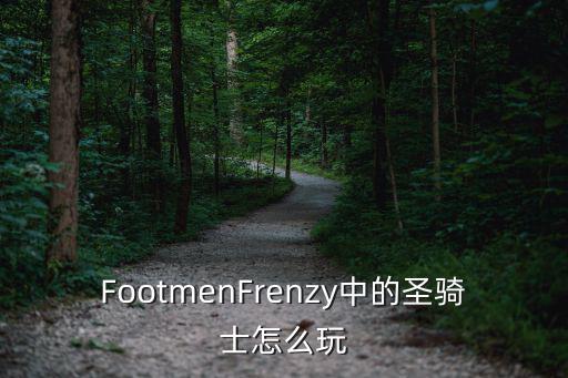 FootmenFrenzy中的圣骑士怎么玩